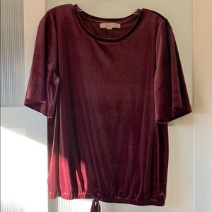 Velvet party top.